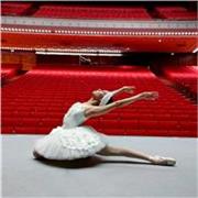 Danza Clásica, Ballet Online