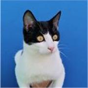 profesora de ingles para niños y adolescentes segun edad