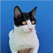 profesora de ingles para niños y adolescentes segun edad