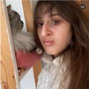 Ich biete preisgünstige und förderliche Nachhilfe für Grund- bis Mittelstufen Schüler an