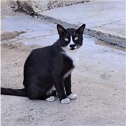 Hello/ Salut, sono Dave ;) Laureato in Scienze linguistiche e con una esperinza biennale in qualità di docente di lingue straniere presso scuole statali, offro lezioni di recupero scolastico e lezioni di lingua straniera. Problemi con l'inglese o il franc