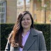 Doctor of Economics with 15+ years of university teaching experience offering online Economics, Finance, Business and innovations