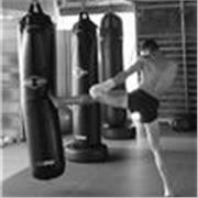 Profesor particular de Boxeo, Kick Boxing y Muay Thai