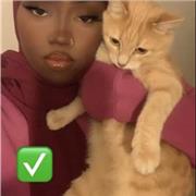 Sy