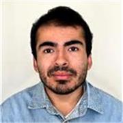 Profesor de de ciencias físicas y matemáticas para estudiantes de enseñanza media y superior