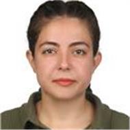 Maide Elif