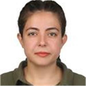 Maide Elif Öztürk Sezer