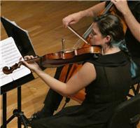 Profesora de piano, viola, lenguaje musical, armonía, transporte e historia de la música, actualmente estudiando en el Conservatorio Superior de Sevilla, se ofrece para preparación de exámenes, clases online y a domicilio