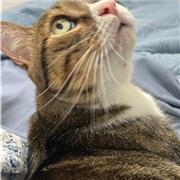 Clases particulares en Fuensalida de todas las materias ESO Bachillerato FP y Universidad