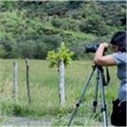 Maestra de lenguaje con experiencia en adolescentes y adultos. A través de mis clases fomento la lectura crítica