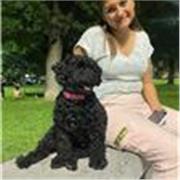 Profesor de español con profesor nativo