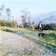 Profesor de reforzamiento y resolución de ejercicios de todas las ramas de matemática nivel escolar y preuniversitario