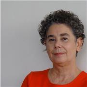 Aulas on-line: Português sem complicação; escrita em contextos : escolar, vestibular; graduação; pós-graduação e profissional