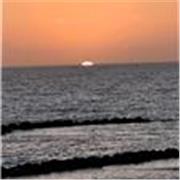 Home tutor or online both are flexible for me