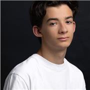 Profesor con nivel nativo en inglés de clases de inglés adaptadas al alumno/a. TOEFL 900/900 Y C2 en inglés. Enseño cualquier ámbito del idioma (oral, escrito, etc)