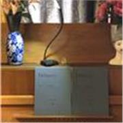 Professeur diplômée CNSMDP et titulaire du CAPES Musique donne cours particulier dans le 16e nord. de 4 ans à adolescents et adult