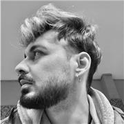 laureando ingegneria offre lezioni di inglese, italiano e storia