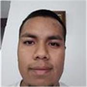 Profesor de Diseño Gráfico para niños y/o adolescentes.