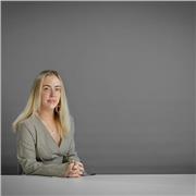 I am a qualified solicitor and so have knowledge of all major areas of law, for example civil or criminal law - GCSE or A Level.