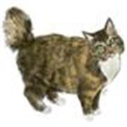 Aprende a dibujar desde cero o mejora tu técnica. Clases que se adaptan a tus necesidades y para todas las edades