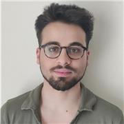 Dottore madrelingua italiano offre lezioni private e aiuto compiti (principalmente inglese e russo)