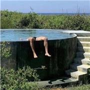 My unmatched perspicacity, coupled with sheer indefatigability, makes me a feared opponent in any realm of human endeavour