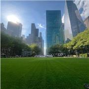 Diplomada en Relaciones Laborales, actualmente trabajando como Controller en Multinacional.