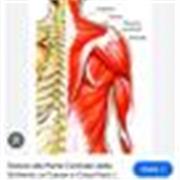 Studiamo insieme. 
Vi aspetto per studiare !