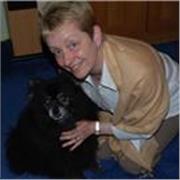 Tutor with over 40 years' teaching experience in UK and Spain. Bachelor and Masters degrees, and PGCE