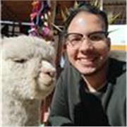 Clases particulares de inglés y español, he enseñado a estudiando neurotipicos y neurodivergentes, adaptándome a sus necesidades