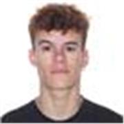 Profesor de refuerzo de inglés con disponibilidad presencial y/o online
