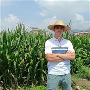 Doy clases de Chino, soy chino nativo y soy fluido en español y inglés