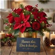 Starts off your profesional new carrer with our  Conversacional English Clases  Online