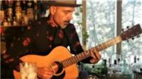 Lezioni di chitarra acustica fingerstyle