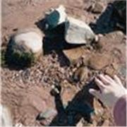 A-level Student currently studying 3 subjects including Maths at a selective school offering maths lessons for KS2-4 (Yr3-11)