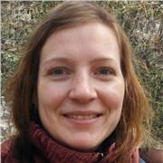 Inglés, todos los niveles, preparación exámenes oficiales, individuales, grupos, a domicilio