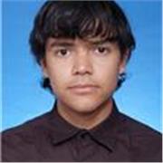 Profesor especializado en la enseñanza del Inglés