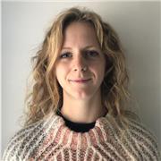 Laureata in storia contemporanea offre ripetizioni di storia