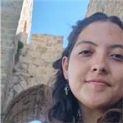 Apoyo en ciencias aplicadas (Matemáticas, geometría, etc) y naturales (Biología y afines)