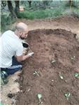 Profesor de jardinería y quiero dar clases aquellos que les interese el oficio y poder desarrollarse en el. 