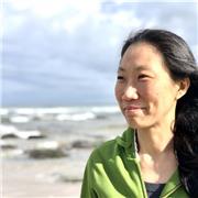 Come on a Korean adventure with a qualified Korean Teacher