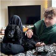 History Uni Student offering to help anyone