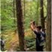 Profesor de inglés, imparto la asignatura a niños de cualquier edad y nivel académico. para sacar mejor nota o mejorar el idioma