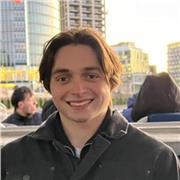 Friendly and straightforward help with books, essays, and analysis