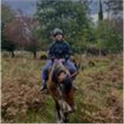 Prof d’EPS de la primaire au lycée selon les besoins