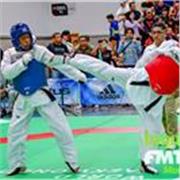 Licenciado en ciencias de la educación para niveles de secundaria, bachiller y universidad