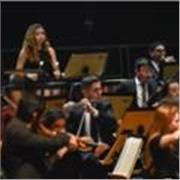 Clases de flauta travesera, teoría musical