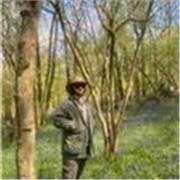 Inglese Madrelingua. Advanced conversation and vocabulary, learn in a natural manner, we will discuss various topics