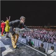 Guitarrista profesional (Miranda! / Javiera Mena).Brindo clases a distancia sin necesidad de videollamadas