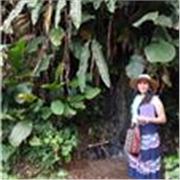 Clases particulares virtuales y apoyo escolar virtual